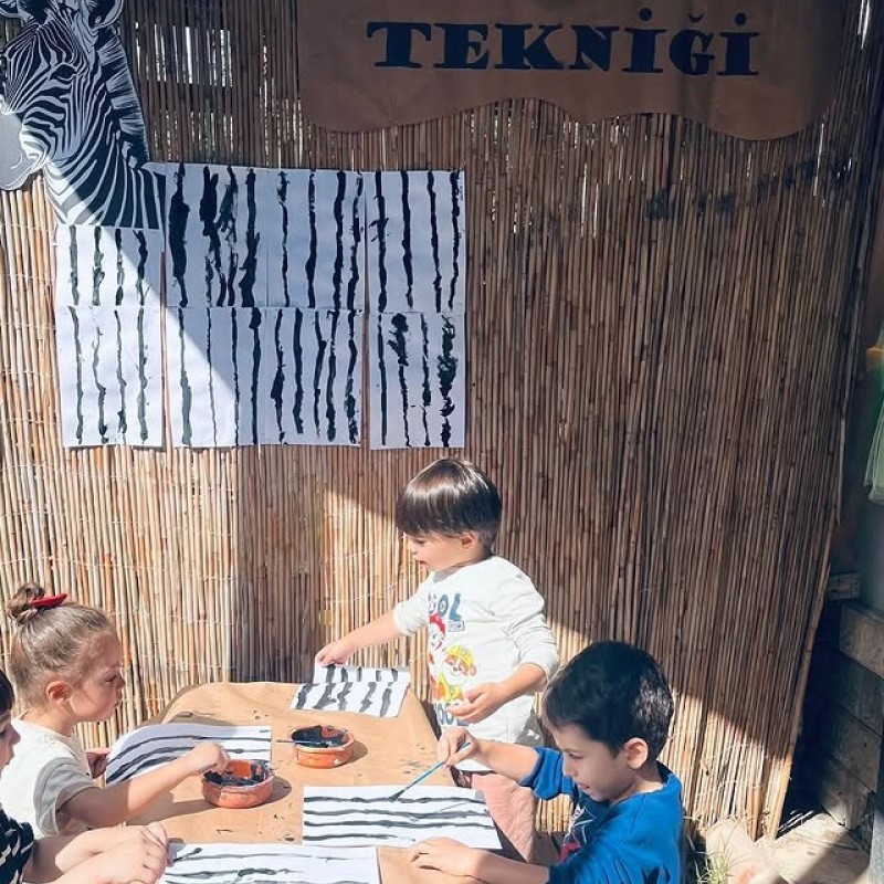 Doğa Ladin Anaokulu 0