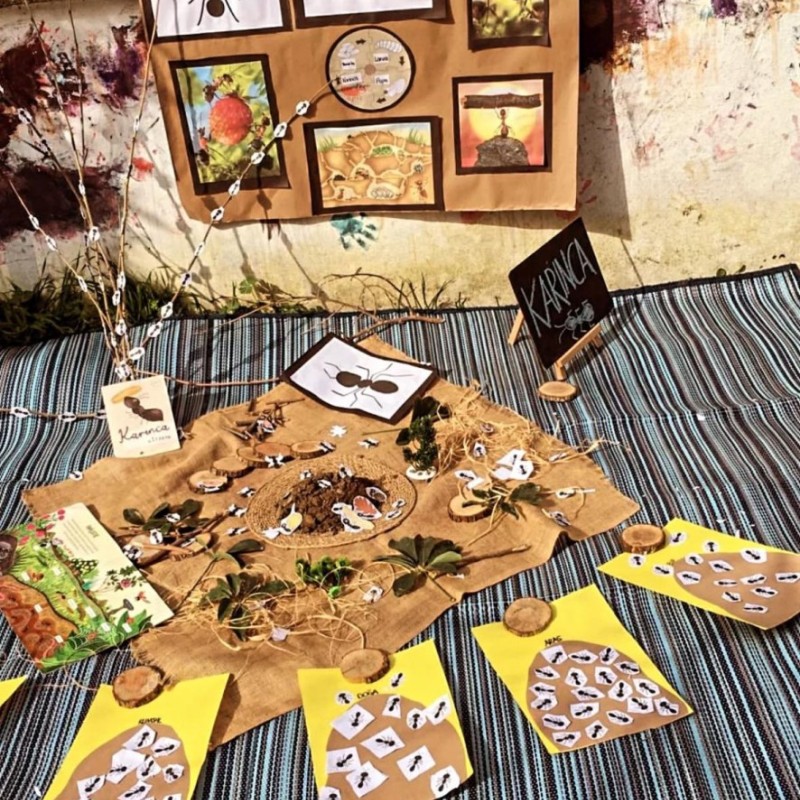 Doğa Ladin Anaokulu 13