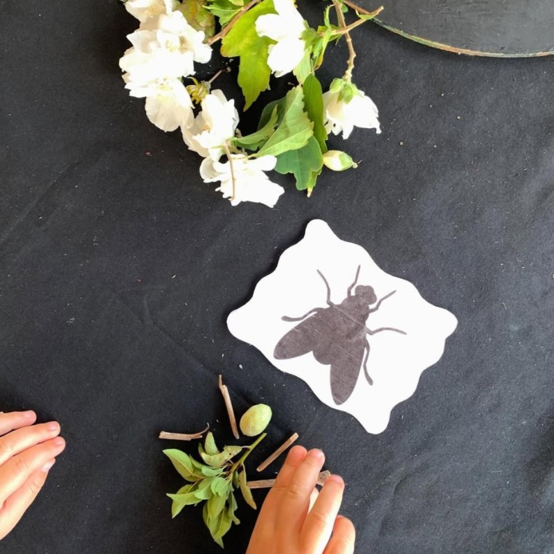 Doğa Ladin Anaokulu 23