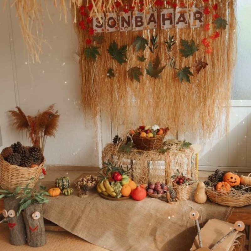 Doğa Ladin Anaokulu 18