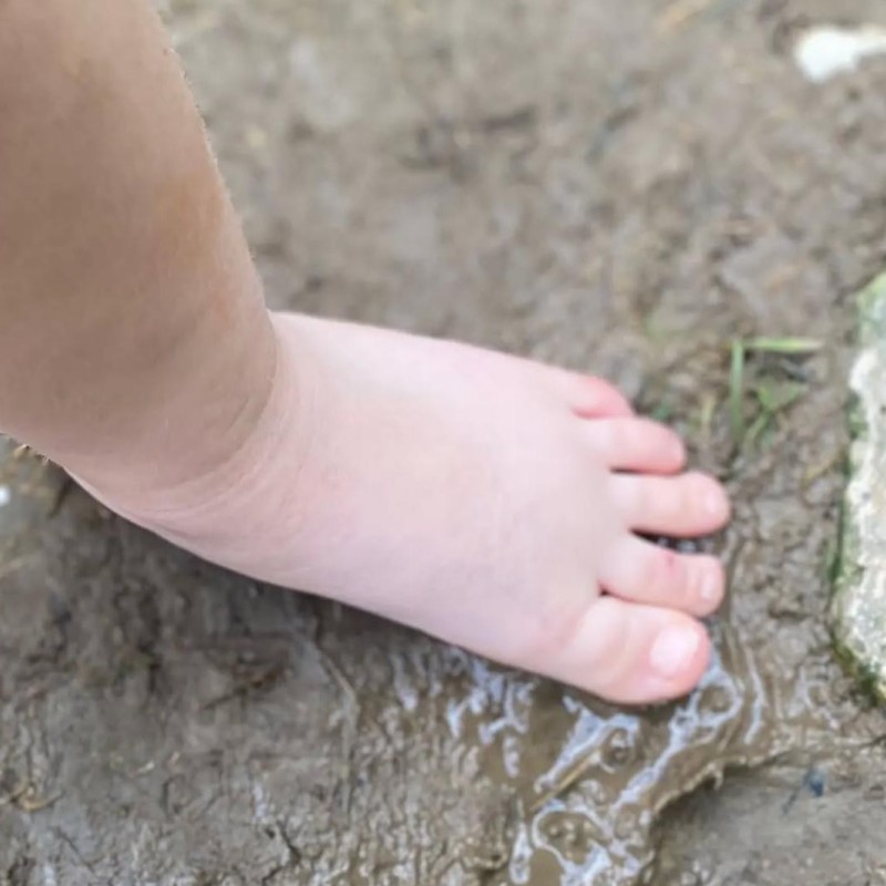 Doğa Ladin Anaokulu 37