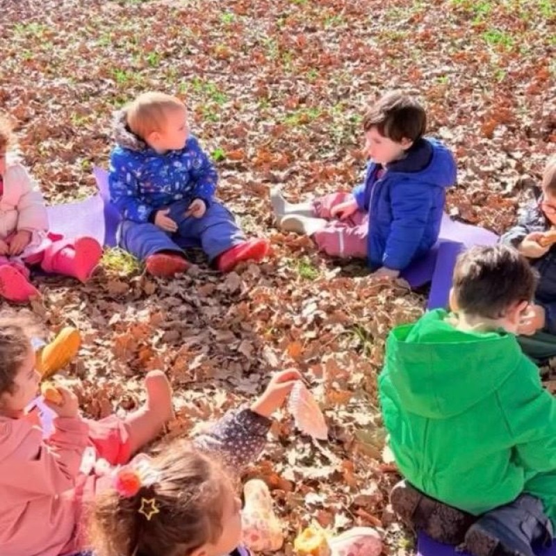 Doğa Ladin Anaokulu 41