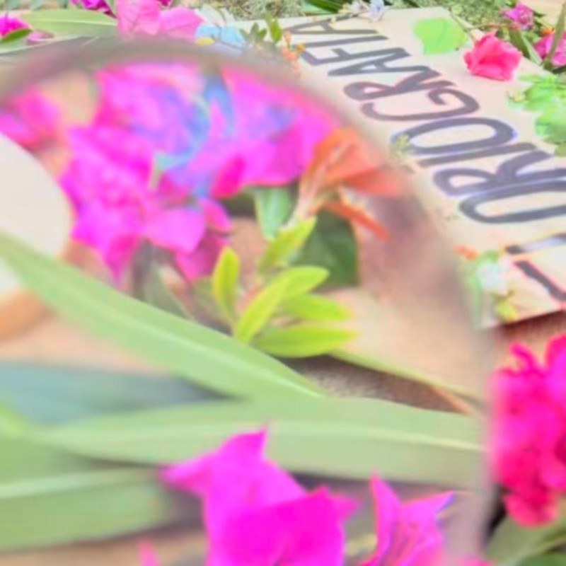 Doğa Ladin Anaokulu 45