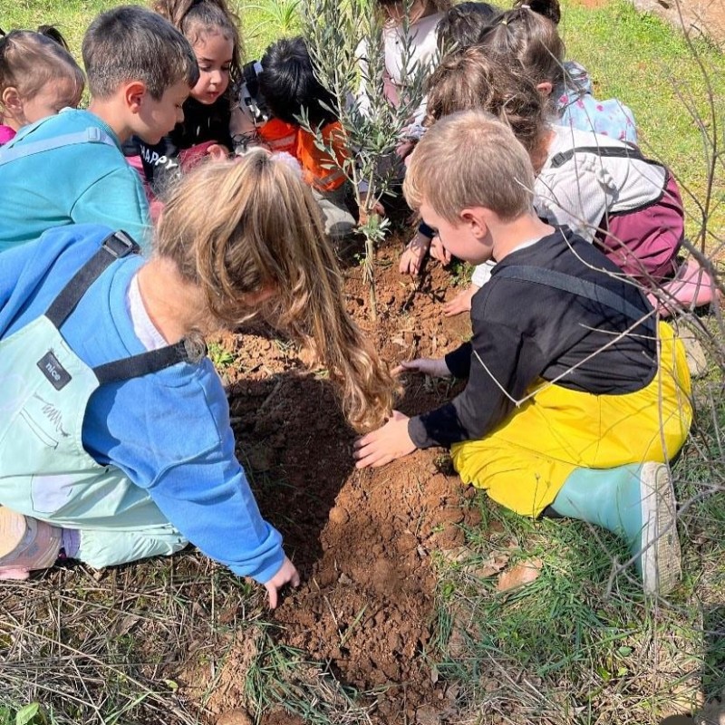 Doğa Ladin Anaokulu 50