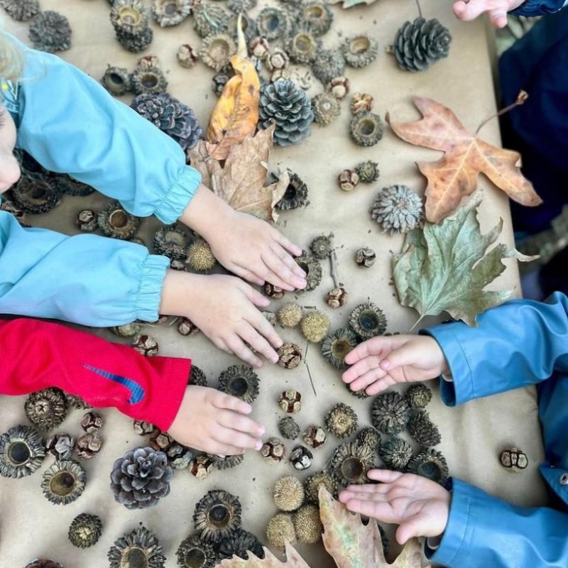 Doğa Ladin Anaokulu 54