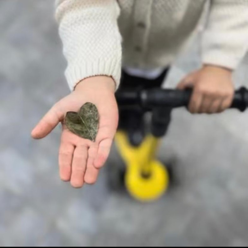 Doğa Ladin Anaokulu 52