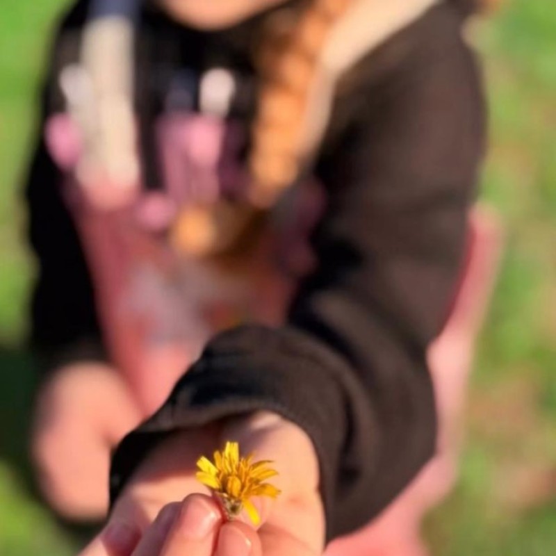 Doğa Ladin Anaokulu 64